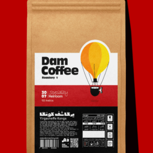 یرگاشف کونگا